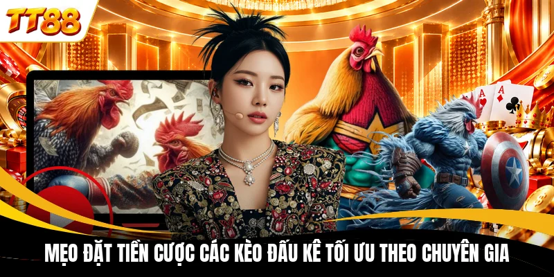 Mẹo đặt tiền cược các kèo đấu kê tối ưu theo chuyên gia